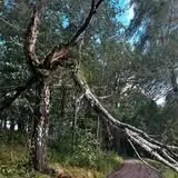 Pożegnanie Lata w Lubominie – strażacy i służby zapraszają na piknik