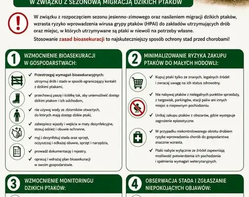Ostrzeżenie przed grypą ptaków i rzekomym pomorem drobiu w powiecie lidzbarskim